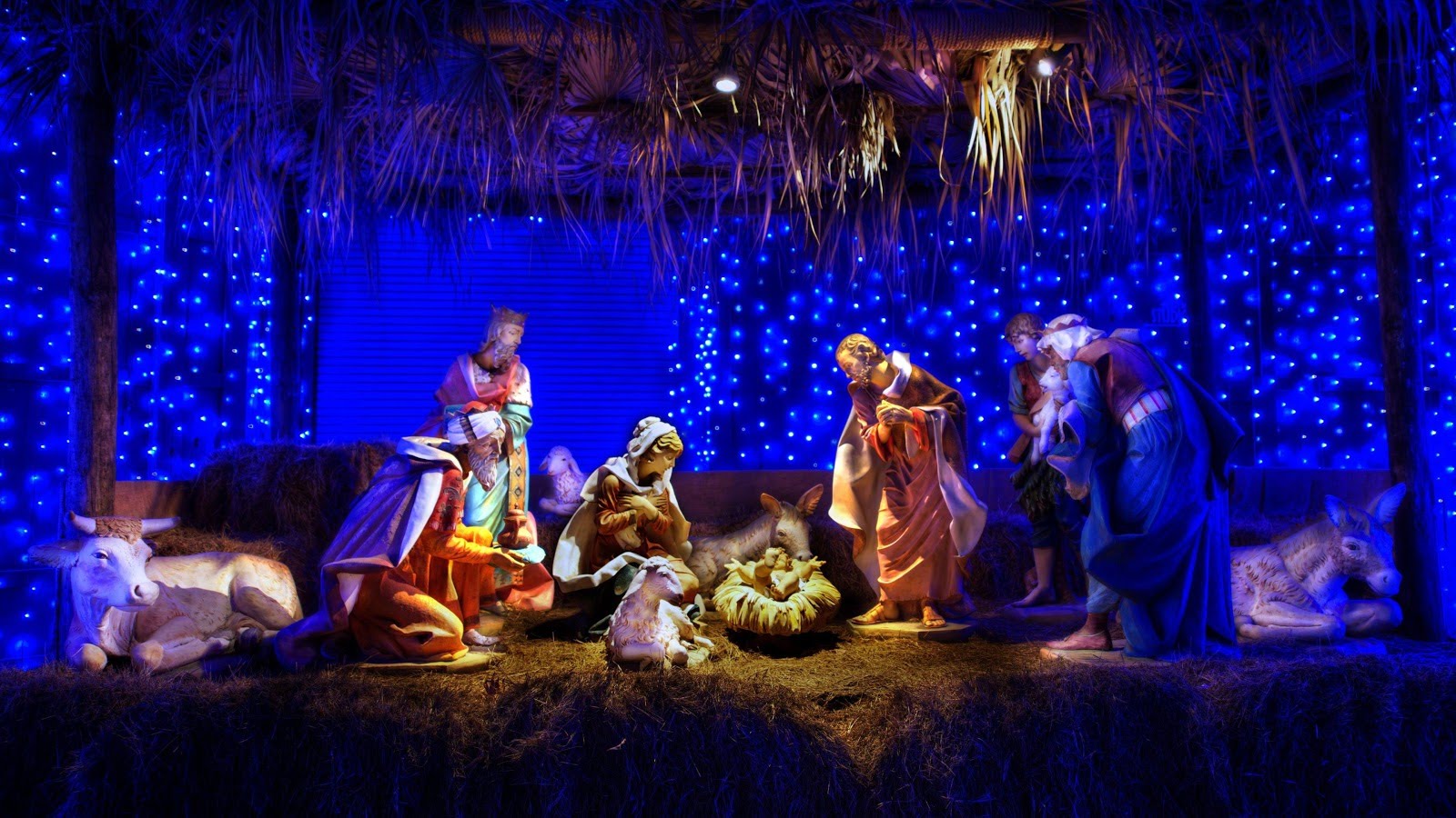 Chúa Nhật Đại Lễ Giáng Sinh là ngày hội trọng đại trong năm, mọi người đều sum vầy bên nhau để chúc tụng và cầu nguyện. Bức ảnh này sẽ đưa bạn đến những giây phút trang trọng và thiêng liêng nhất của đêm Noel.